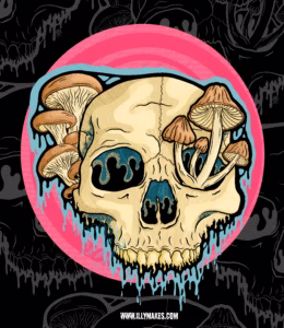Drippy mushroom skull illustration with fungi sprouting from the cranium.