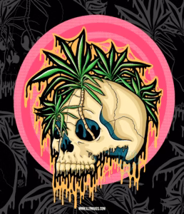 Drippy tropical skull with palm leaves and vibrant pink background.