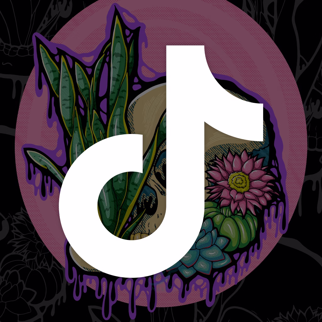 Illymakes on TikTok